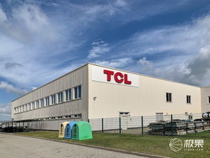 對話王成 TCL如何在2020年躋身歐洲前三，國內貿易代理又扮演何種角色？